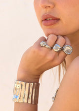 EL ARÁNDANO RING PLATA
