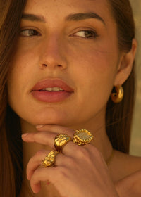 EL ARÁNDANO RING