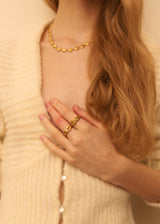 DESHIELO RING