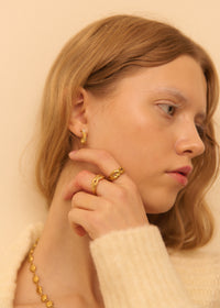 DESHIELO RING