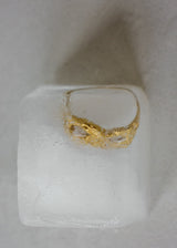 DESHIELO RING