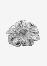 LA PINZA ARGENTO