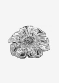 LA PINZA ARGENTO