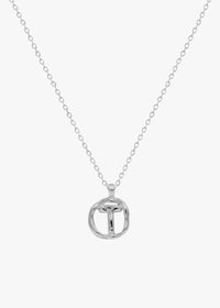 T / PLATA - THE IDENTITY