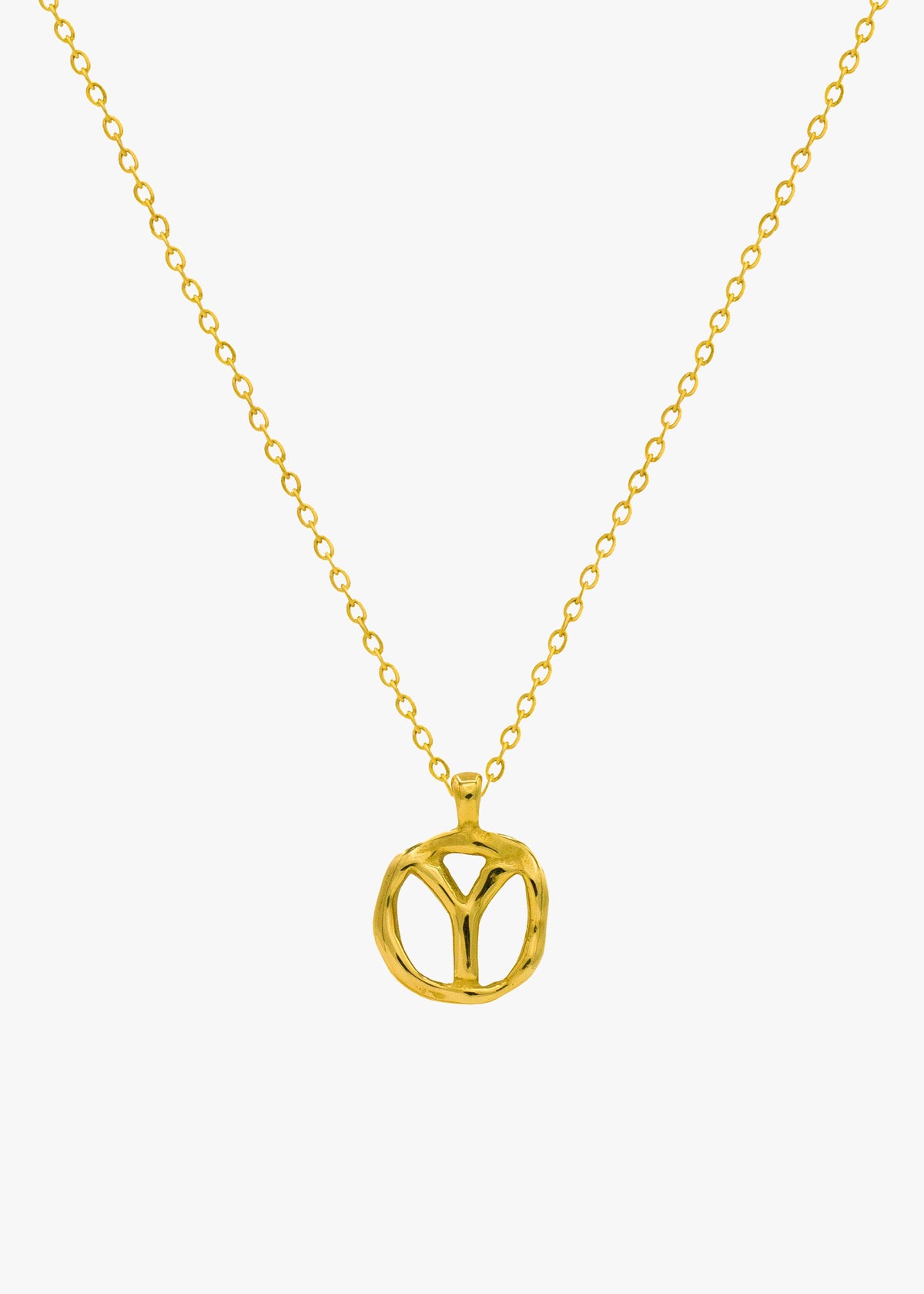 Y - THE IDENTITY